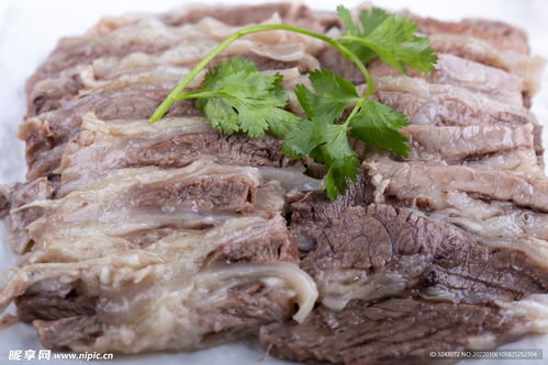 草原盛宴 手抓羊肉攝影的藝術(shù)之美